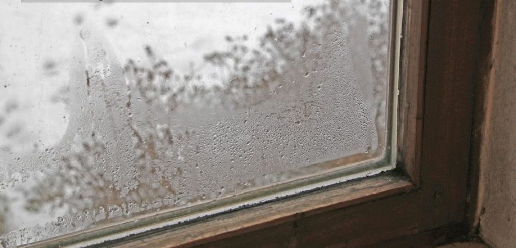 Beschlagene Fenster - Tauwasser auf Fenster › Baugutachter Klaus
